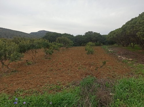 Καλοφρεζαρισμένο σχοινοτόπι από τον Σιδερή